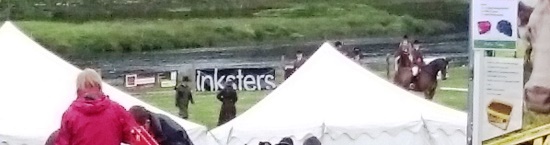 Caithness County Show - Inksters - Banner in Show Ring